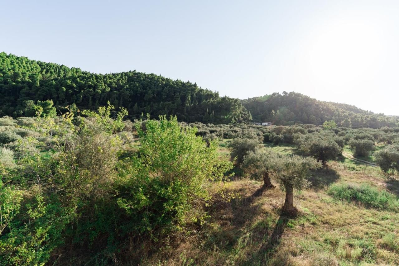 Family Villas Vourvourou Buitenkant foto